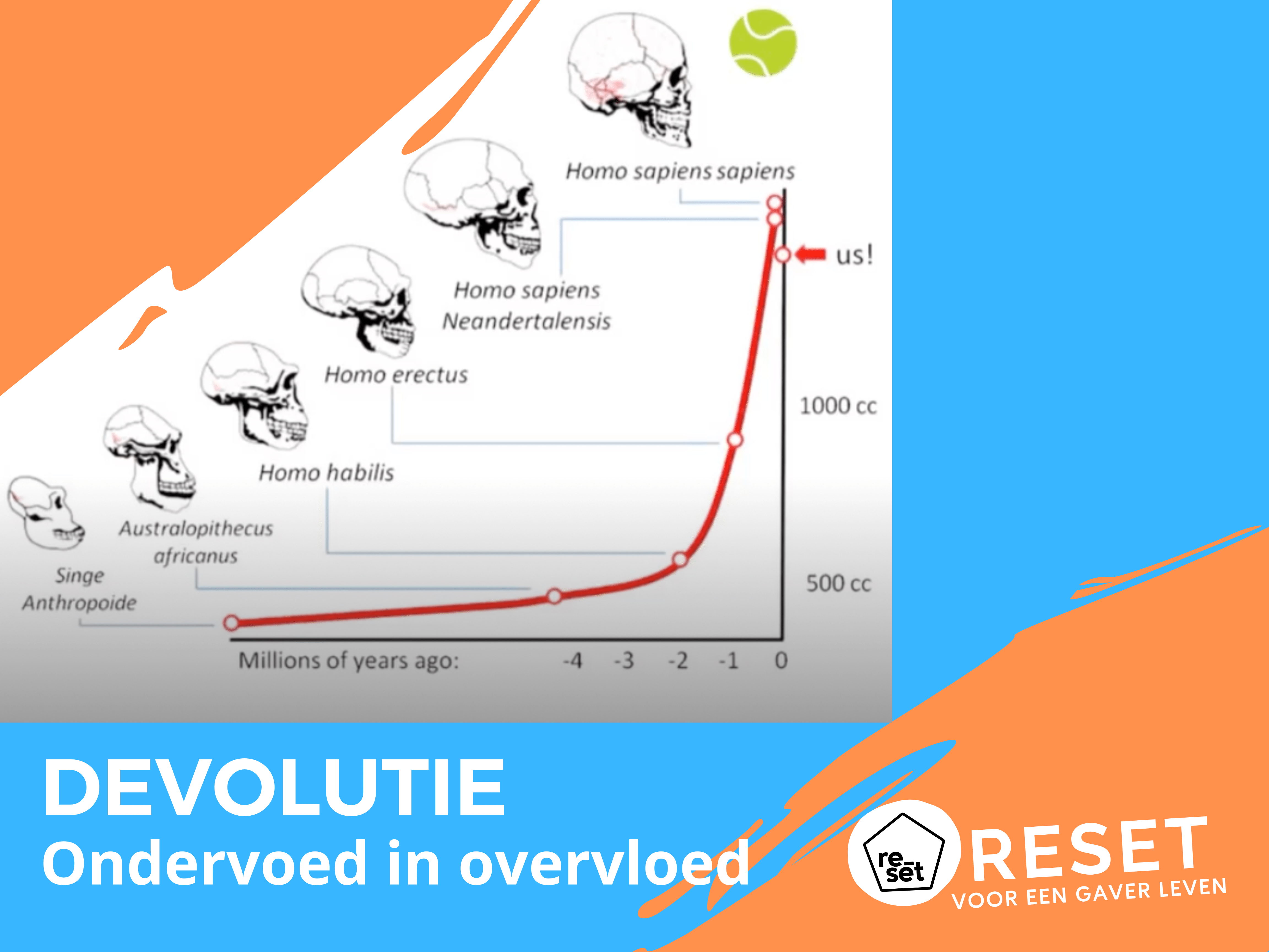 Waarom er eerder sprake is van een devolutie in plaats van een evolutie