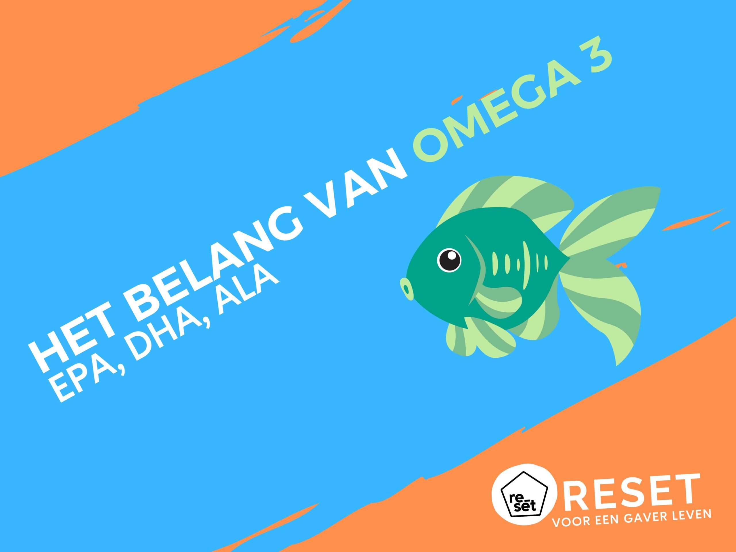 Waarom zijn omega 3-vetzuren zo belangrijk?