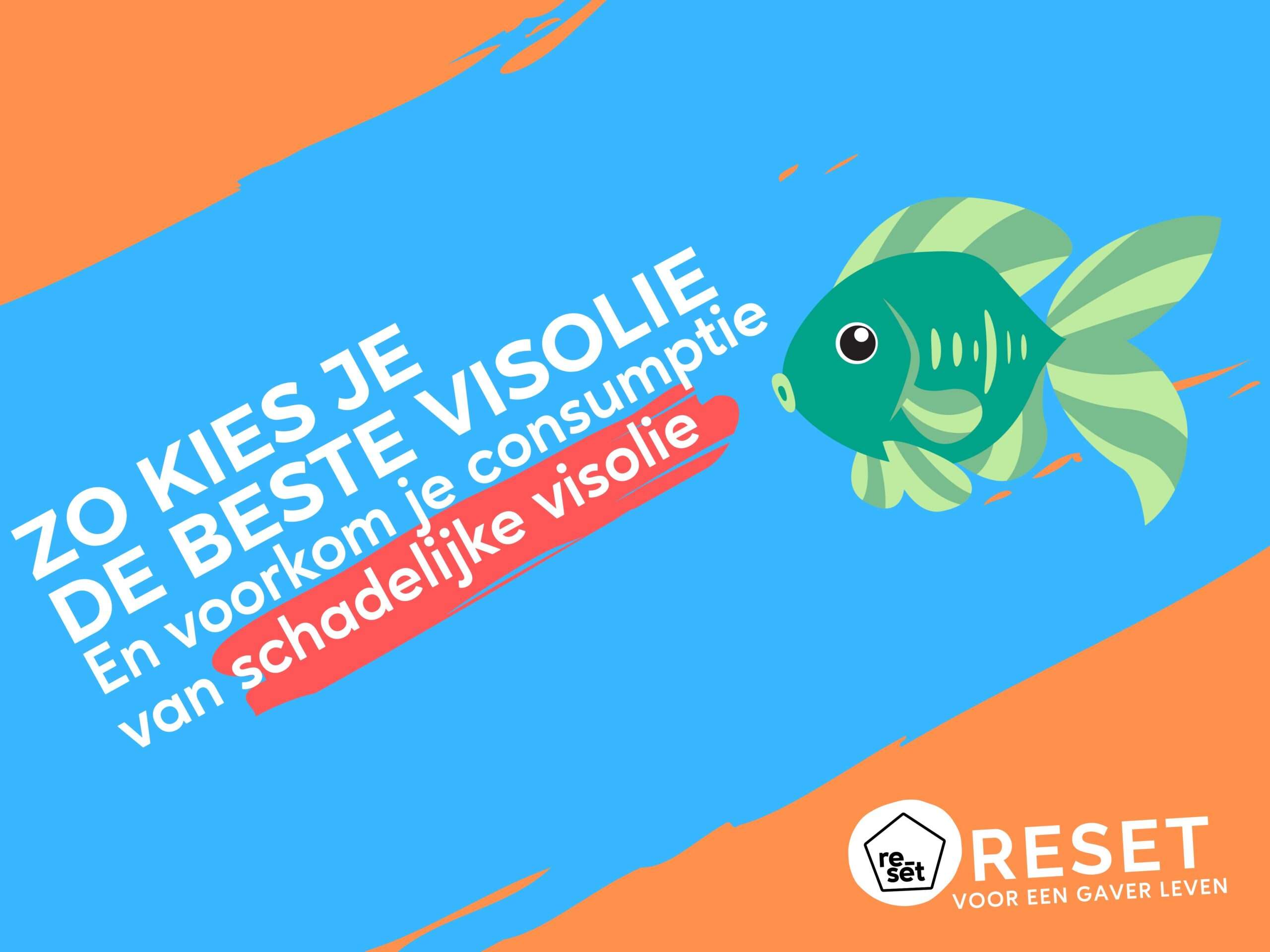 Zo kies je de beste omega 3 visolie (en voorkom je de negatieve gevolgen van slechte visolie op je lichaam)