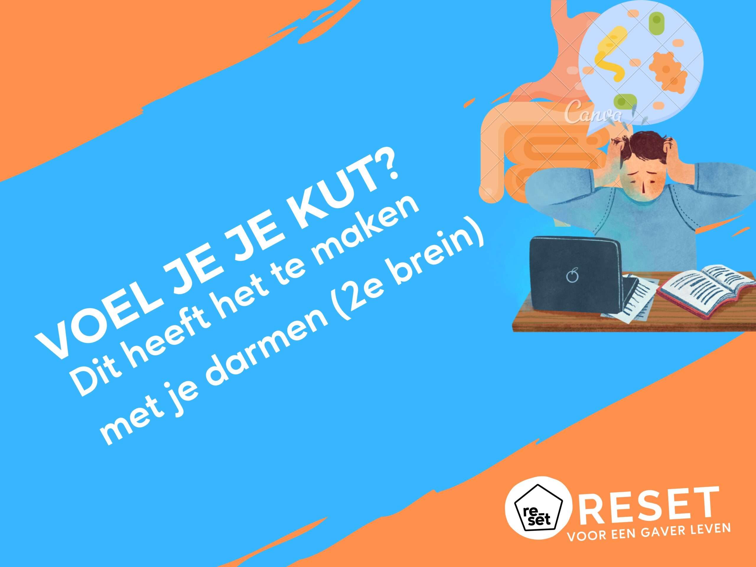 Last van depressiviteit of mood swings? Grote kans dat je darmen uit balans zijn: het tweede brein