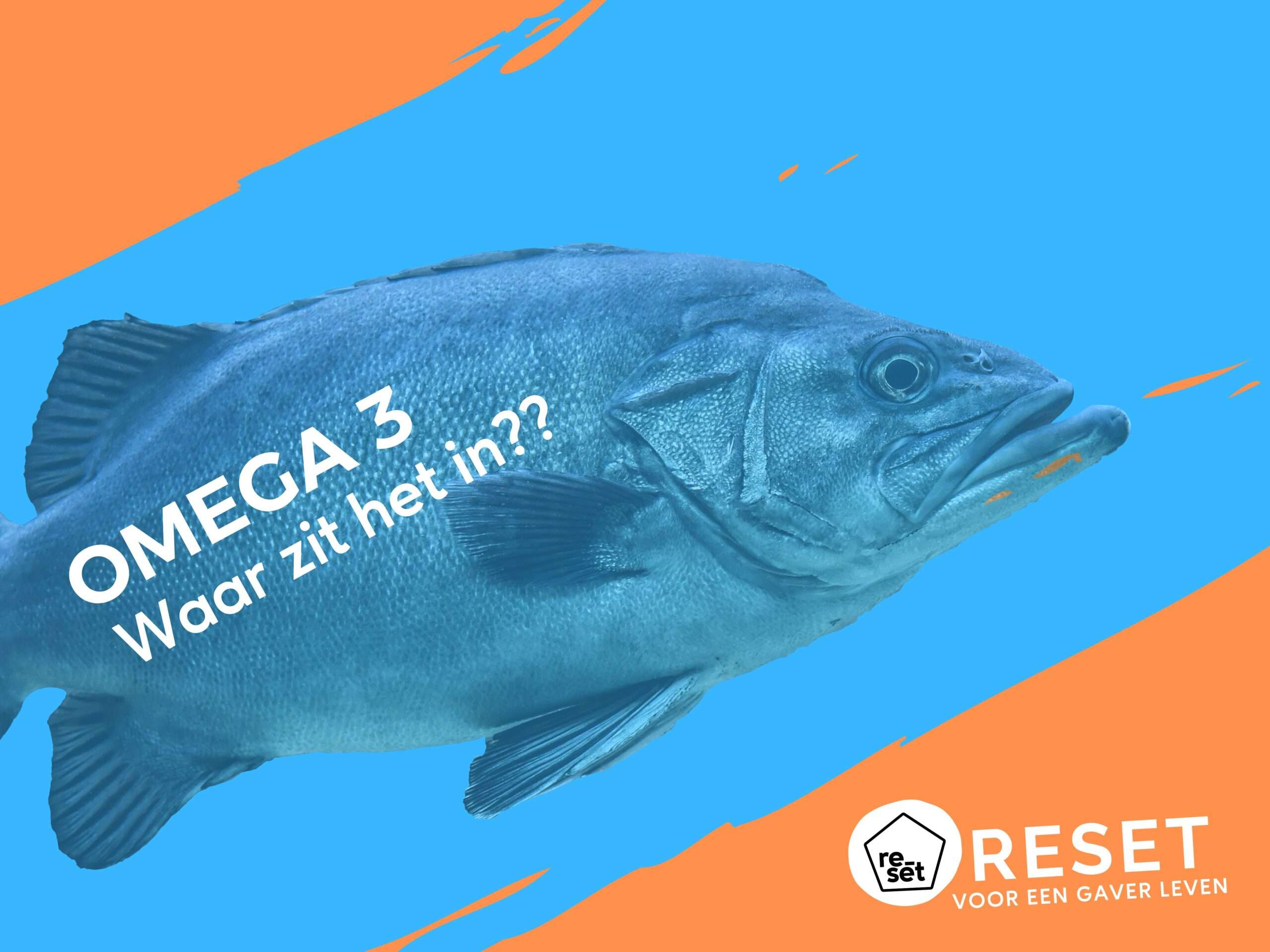 In welke voedingsmiddelen zit Omega 3?