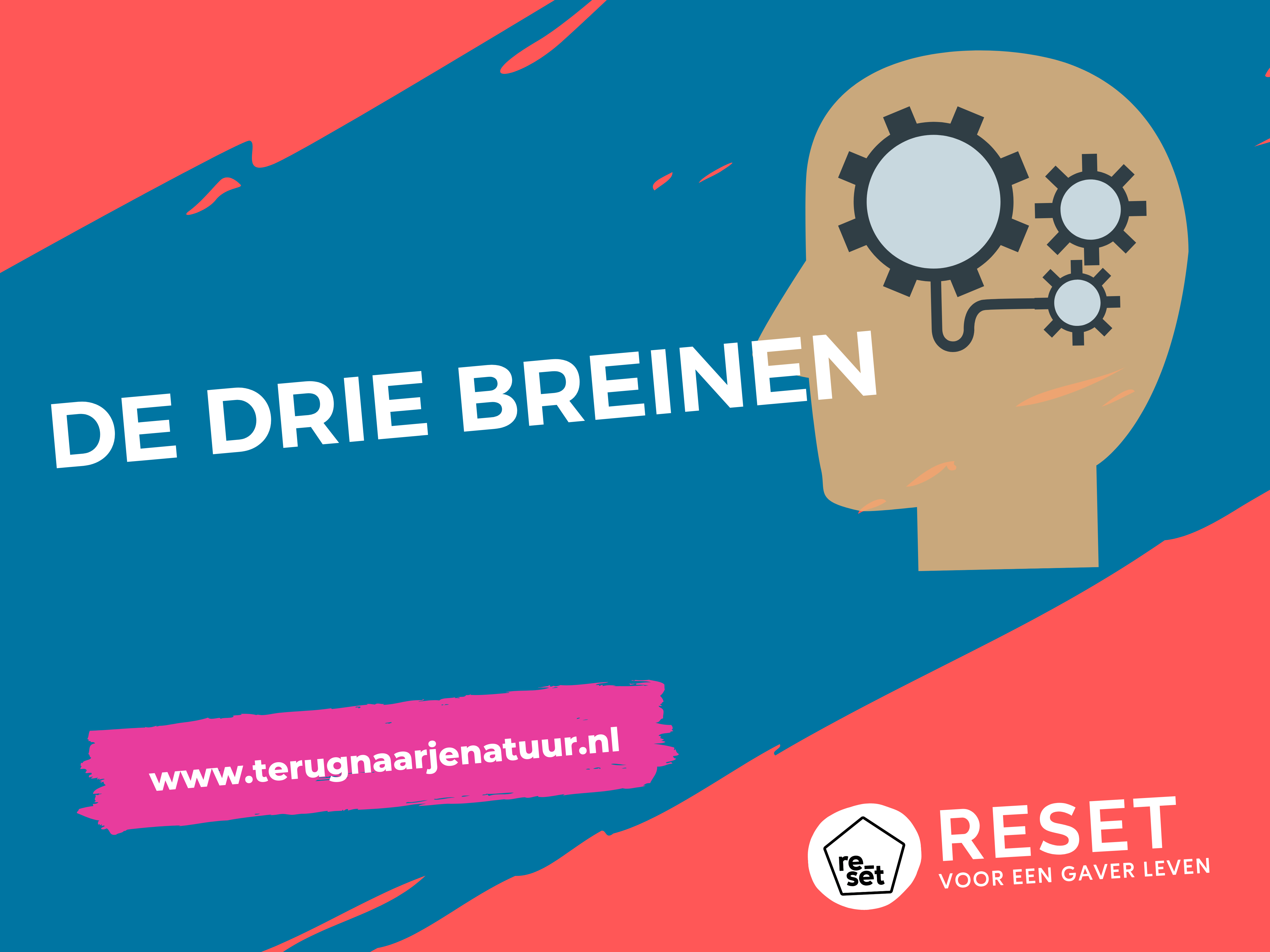 De Drie Breinen
