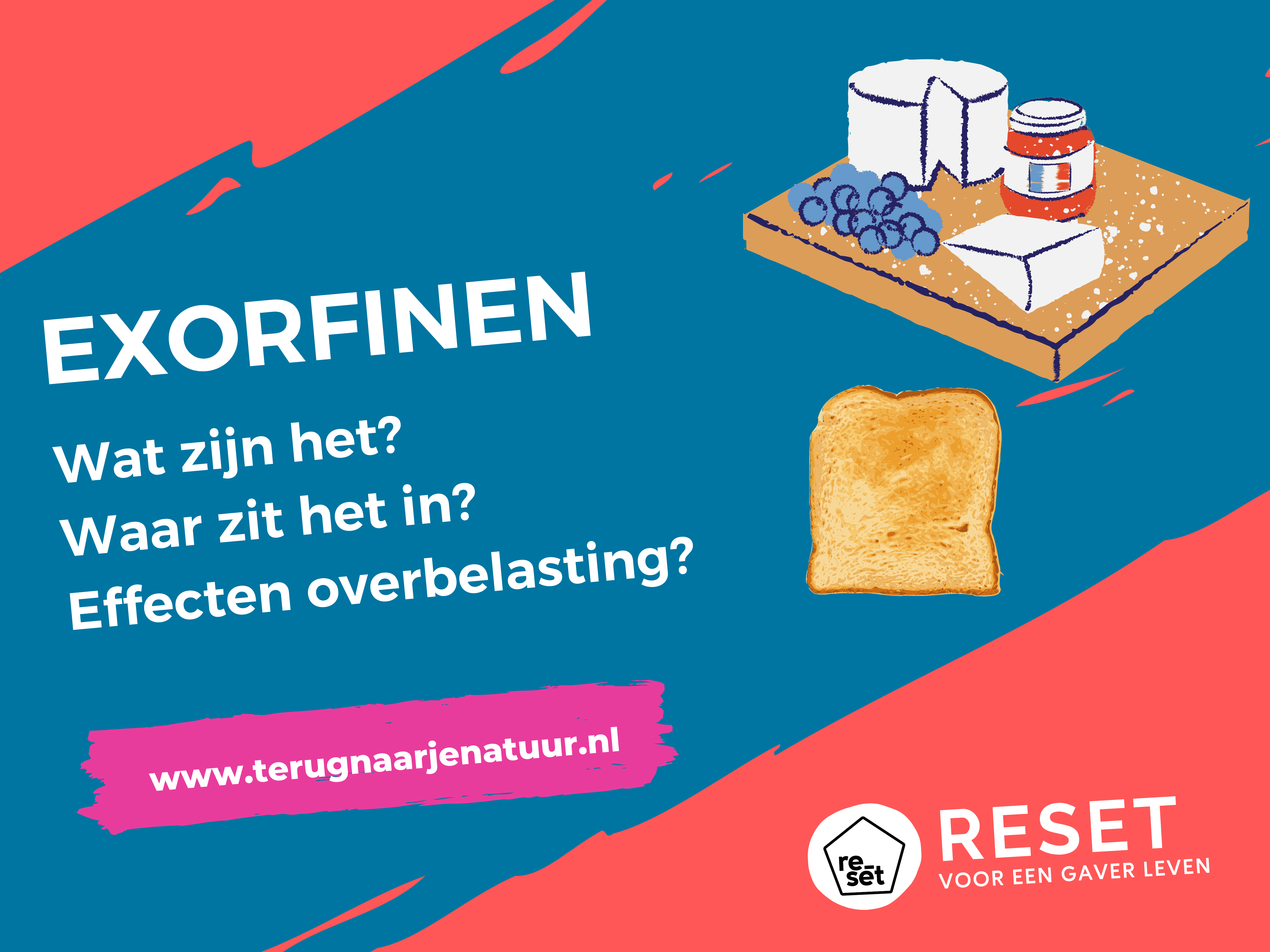 Exorfinen: wat is het, waar zit het in en wat zijn de gevolgen van een hoge exorfinebelasting?