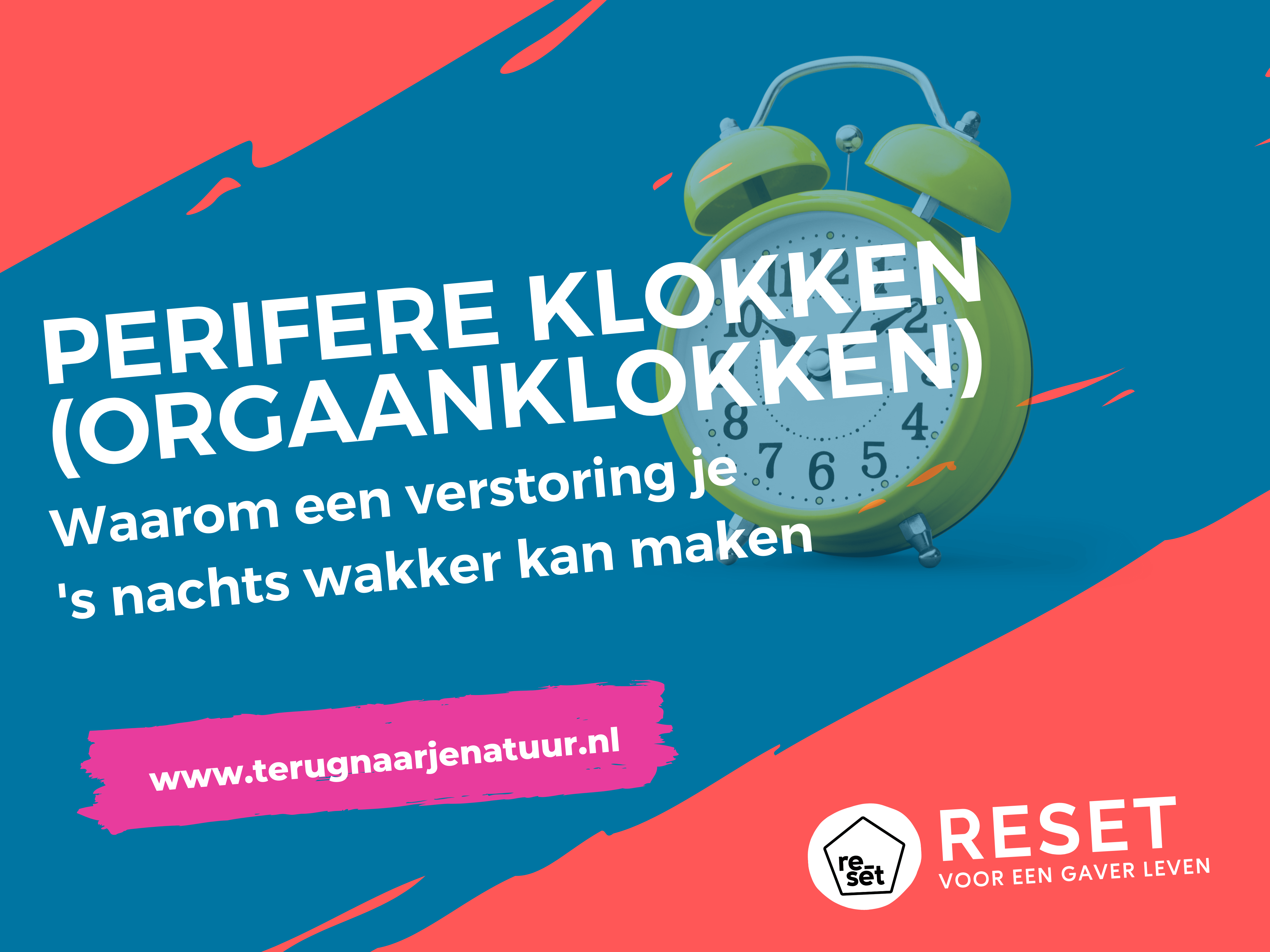 Perifere klokken (orgaanklokken): waarom een verstoring hiervan kan leiden tot ’s nachts wakker worden