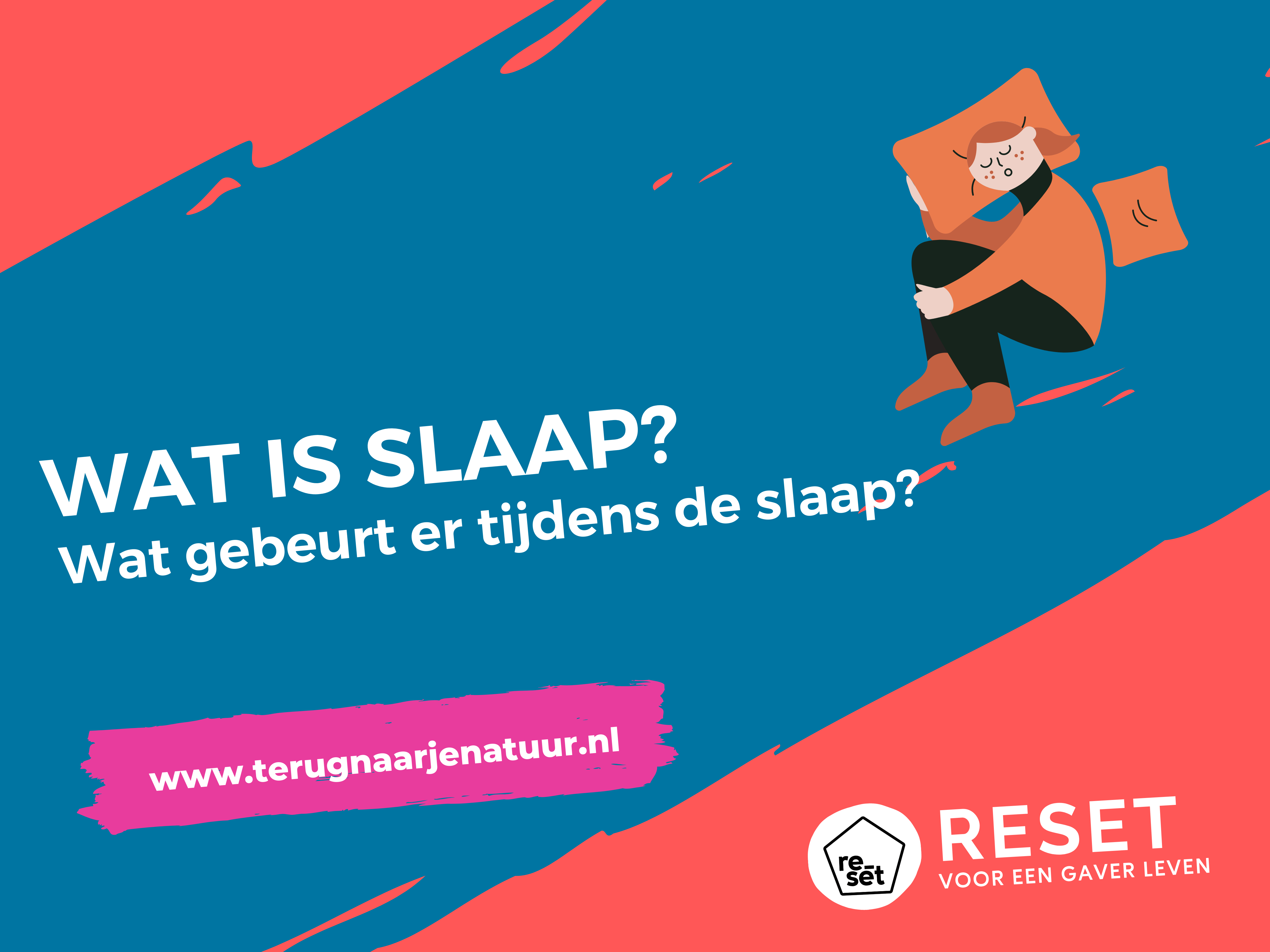 Wat is slaap? En wat gebeurt er tijdens de slaap?