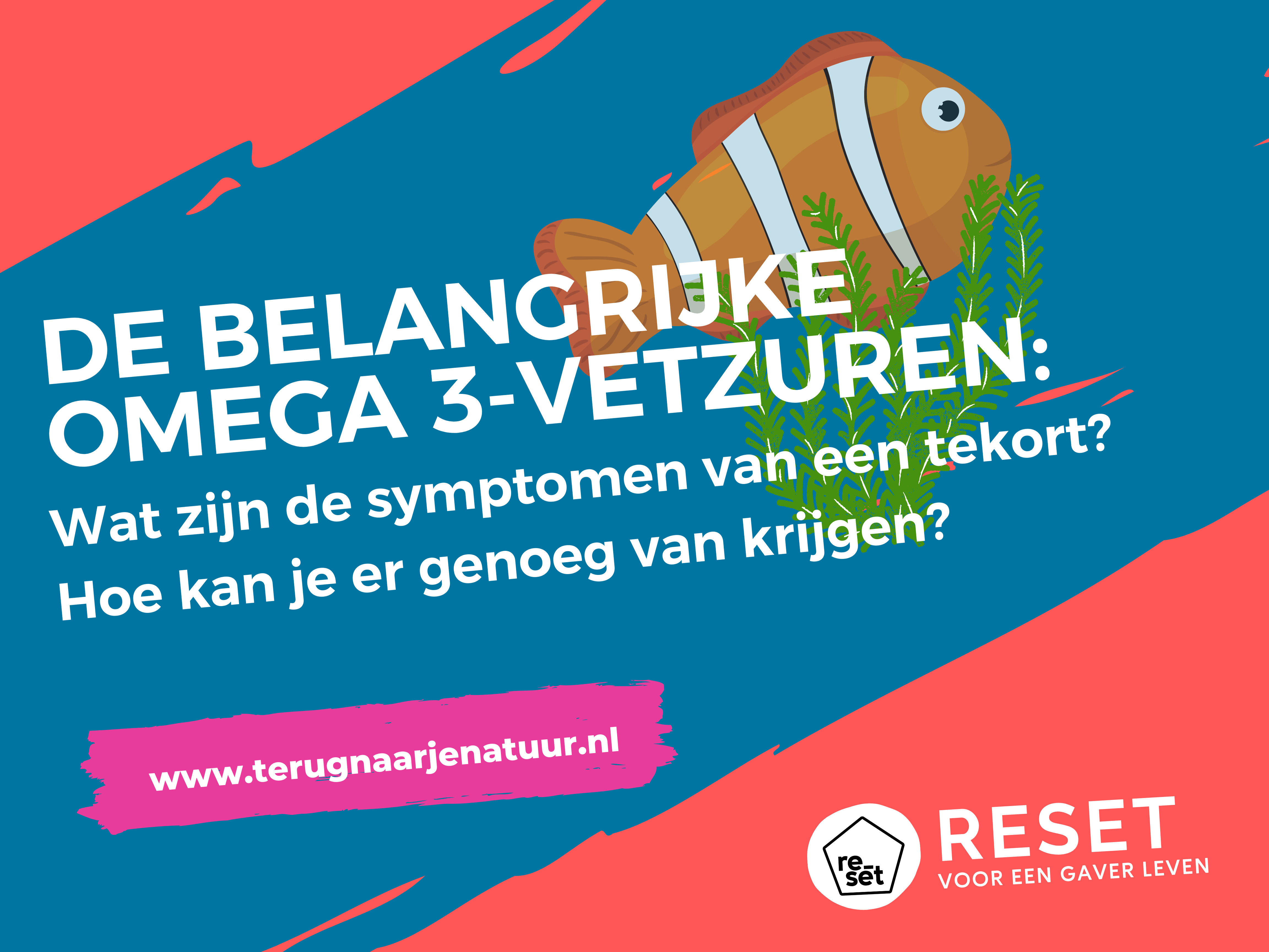 De belangrijke omega 3-vetzuren: Wat zijn de symptomen van een tekort en hoe kun je er genoeg van krijgen?