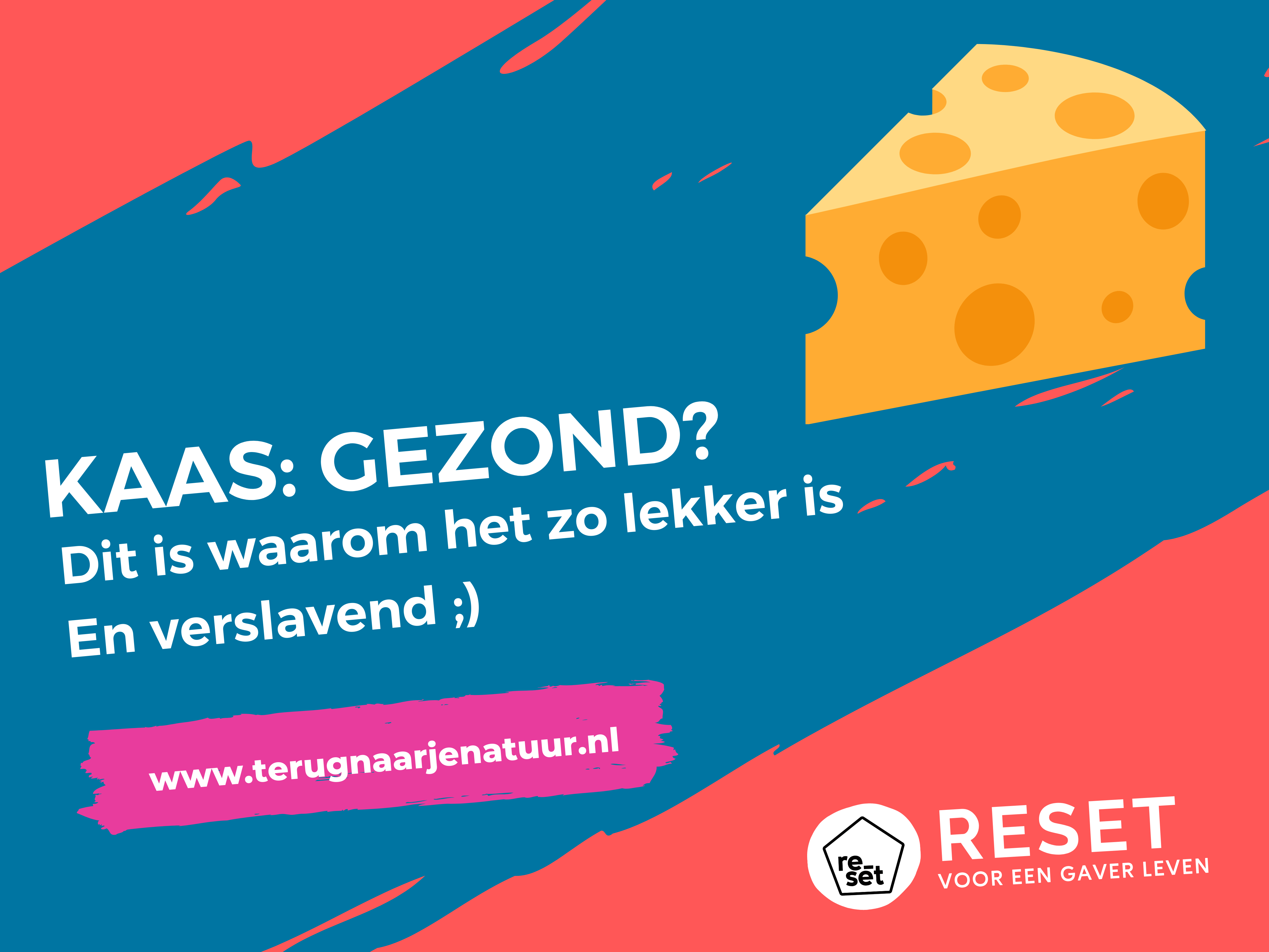 Is een broodje kaas echt zo gezond? Hoe komt het dat het zo lekker is?