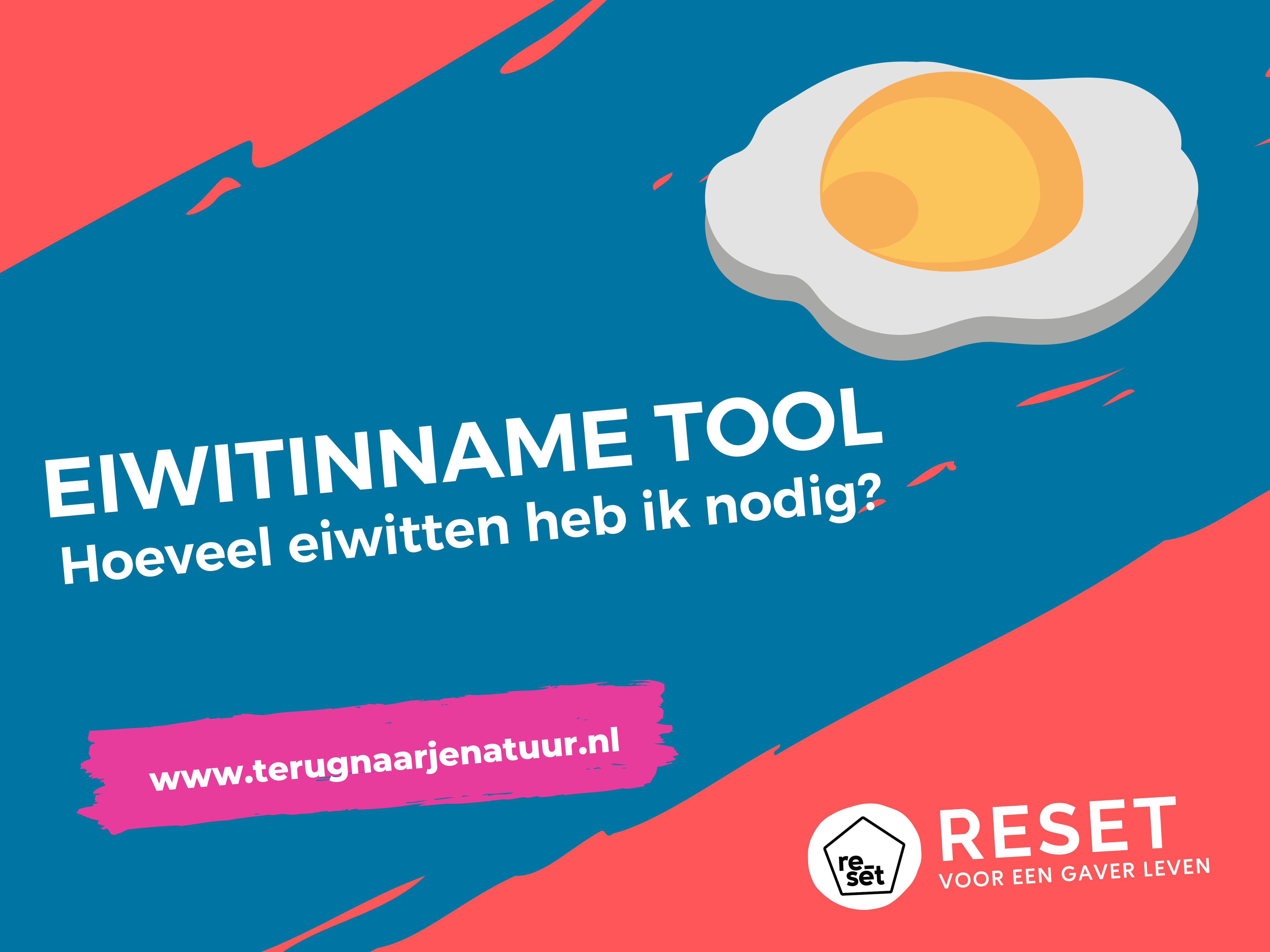 Hoe kan ik mijn eiwitinname berekenen? Overzicht met eiwitrijke plantaardige- en dierlijke voeding