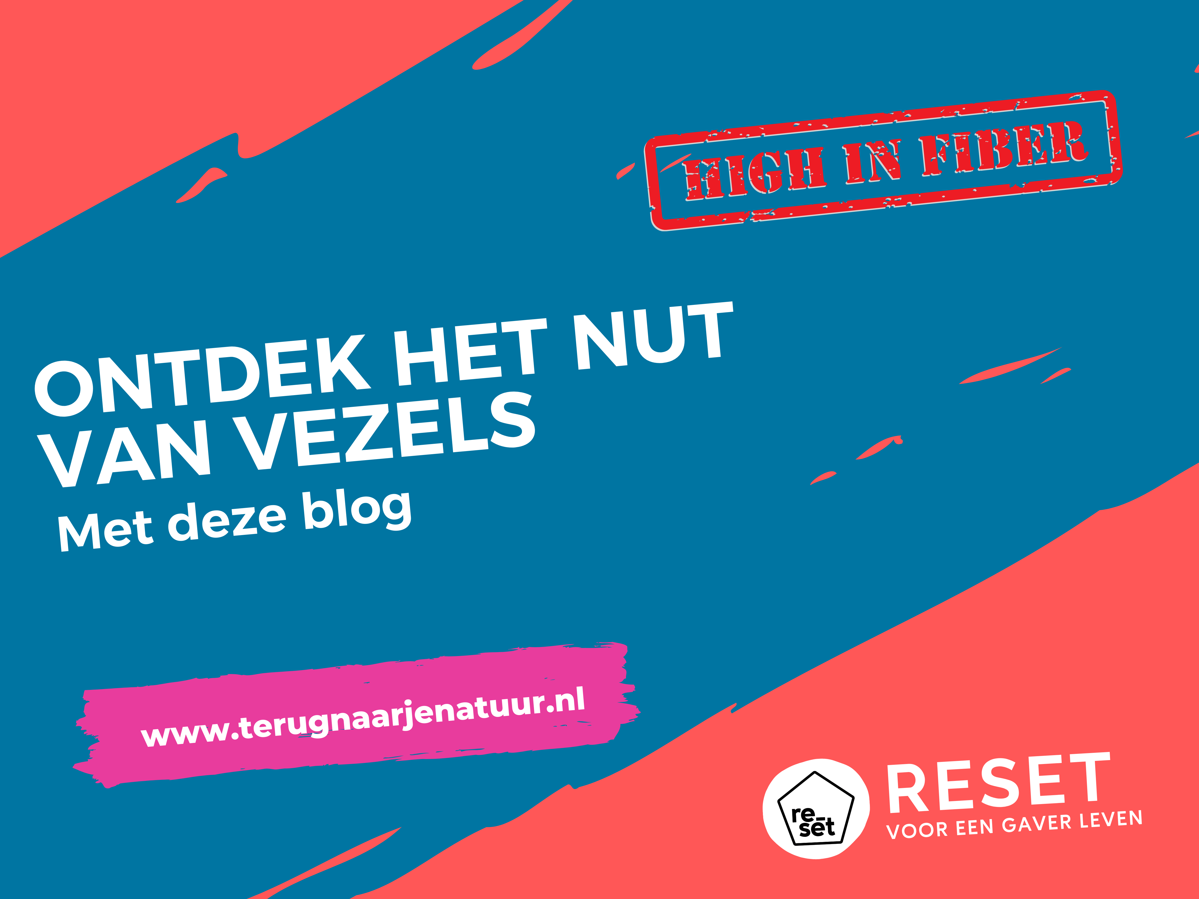Waarom zijn vezels zo belangrijk? Ontdek het nut van vezels