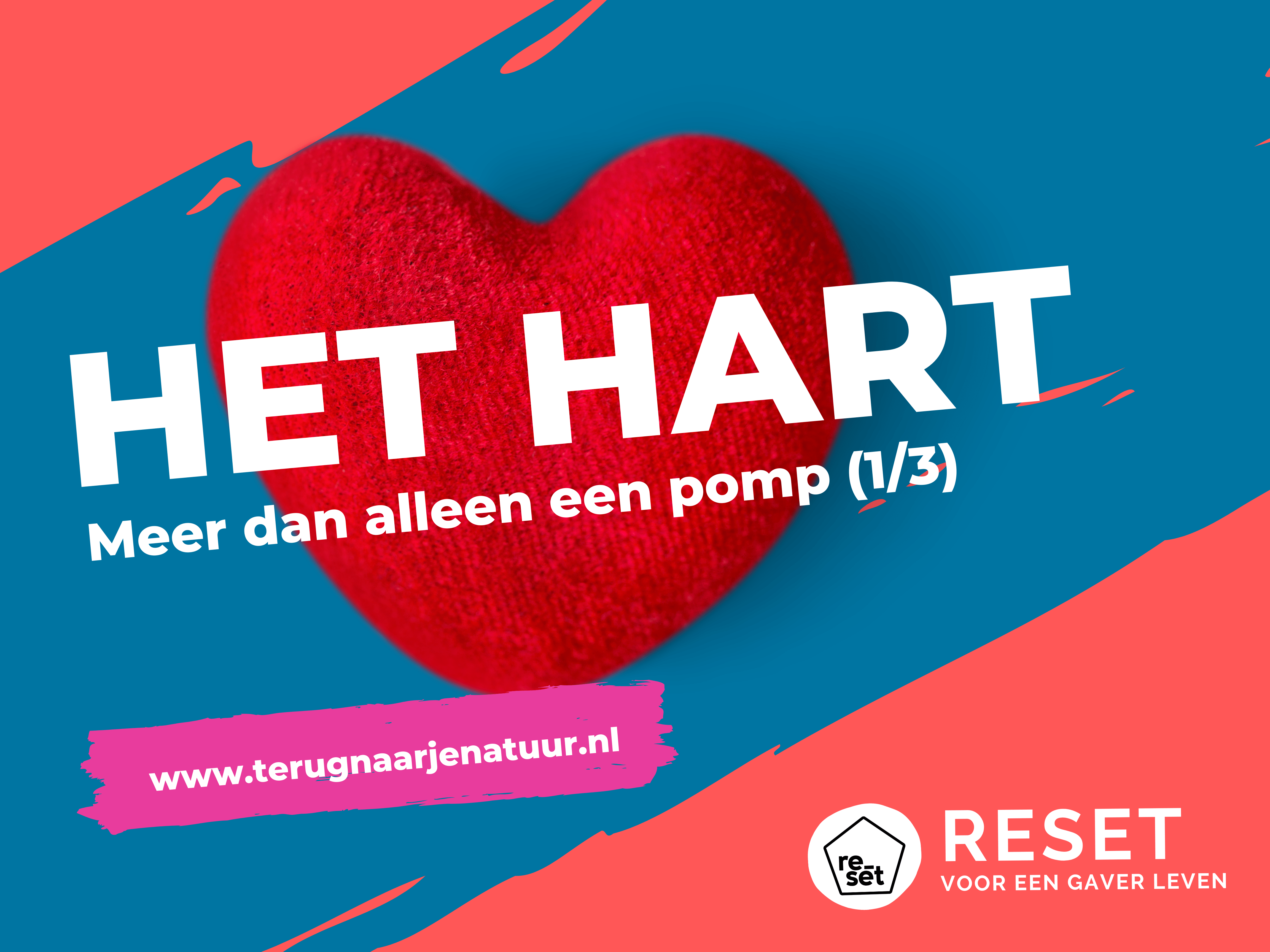 Het hart: meer dan alleen een Pomp (1/3)